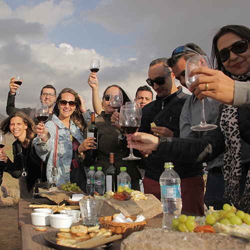 Conheça as opções de Wine Tours no Chile | Sousas Tour
